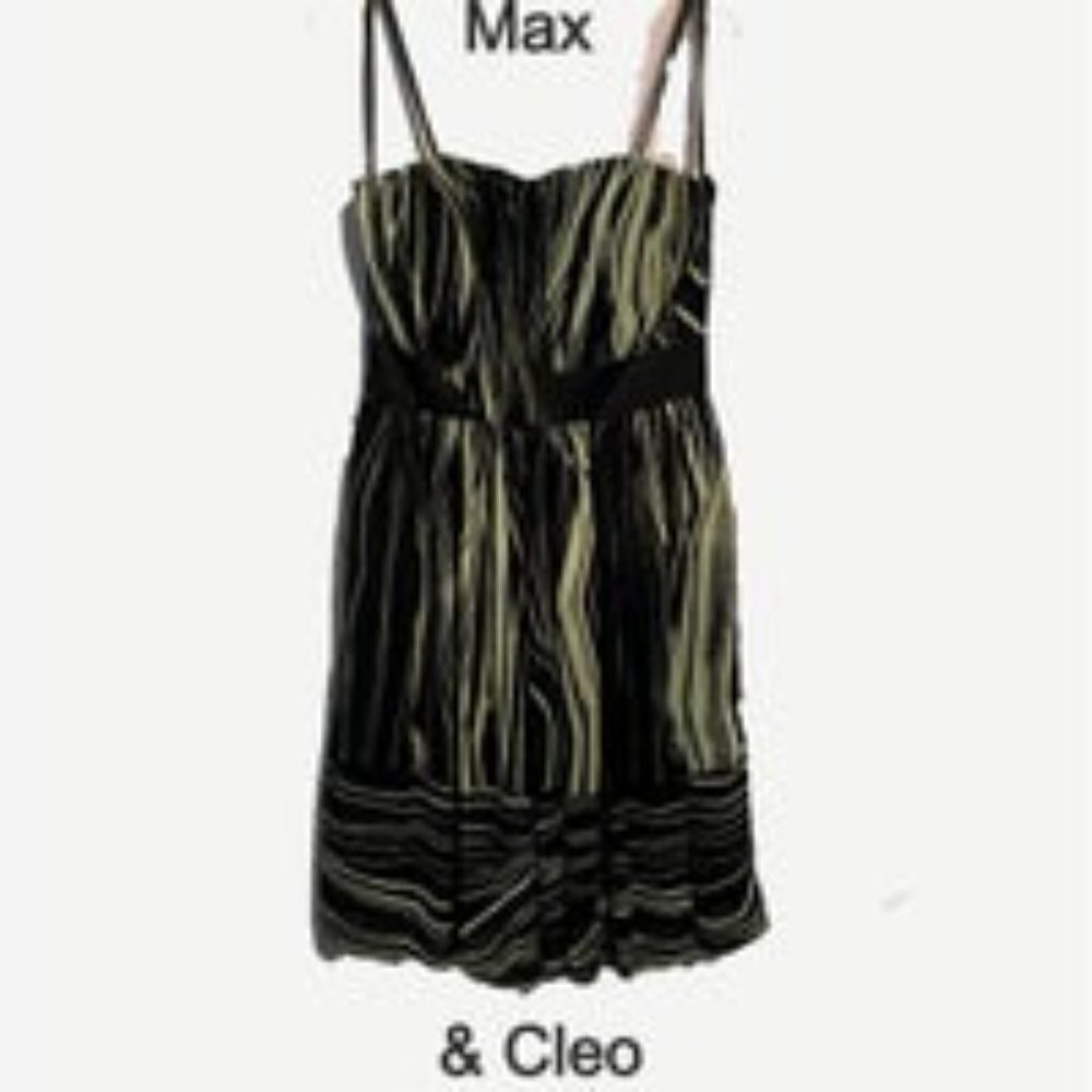 NWOT MAX & CLEO FORMAL STRAPELESS SIZE 4 SPAGHETTI STRAP DRESS - Picture 10 of 13